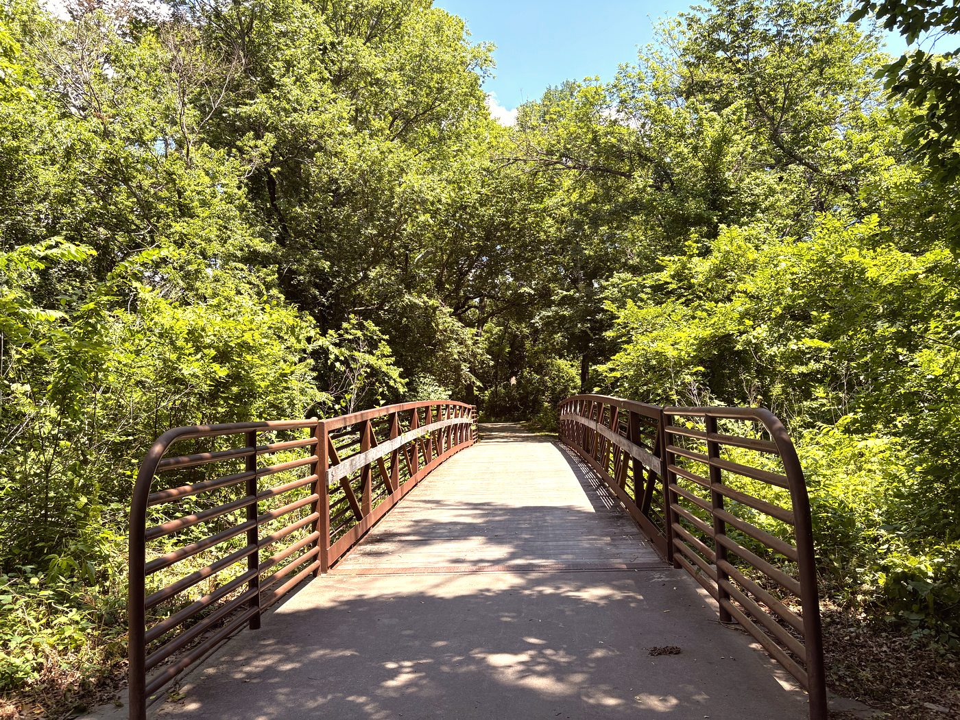 Curved path through McKinney park at golden hour